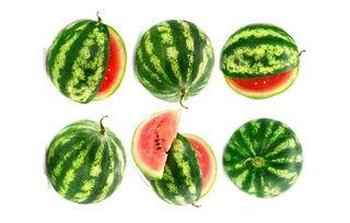 无限吃瓜在线,揭秘网络时代下的娱乐狂欢