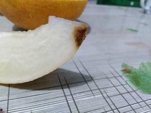 满月过后可以吃哈密瓜吗,哈密瓜美食之旅开启