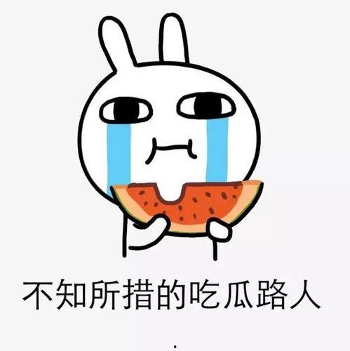 客户也吃瓜,揭秘客户吃瓜背后的故事