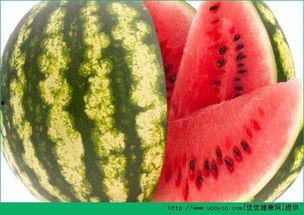 五一吃瓜每日必吃大瓜吗,每日必吃大瓜，畅享欢乐时光