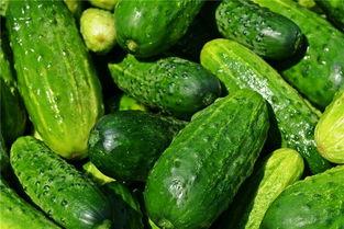 梦见瓜地里吃瓜卖瓜,瓜地里的甜蜜买卖之旅