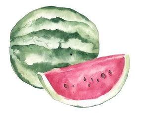 以语文角度吃瓜,语文视角下的吃瓜文化解读