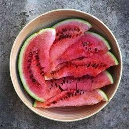 吃鸡瓜和马吃西瓜,趣味盎然的夏日奇遇记