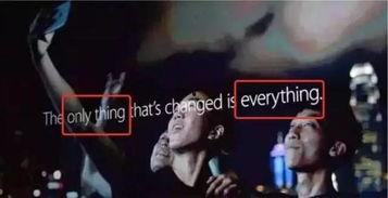 组队吃瓜,共享欢乐时光