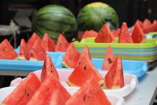 苍南吃瓜群众,揭秘当地独特美食文化